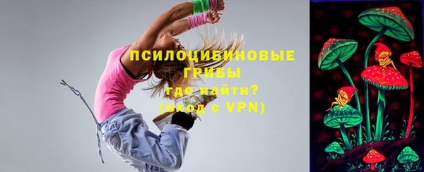 Альфа ПВП Пролетарск