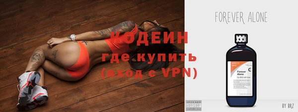 индика Беломорск