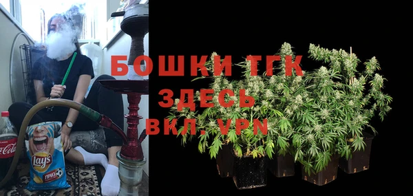 индика Беломорск