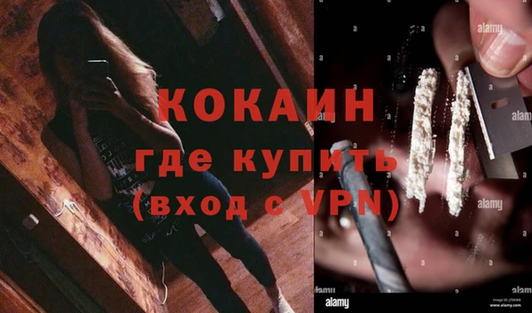 индика Беломорск