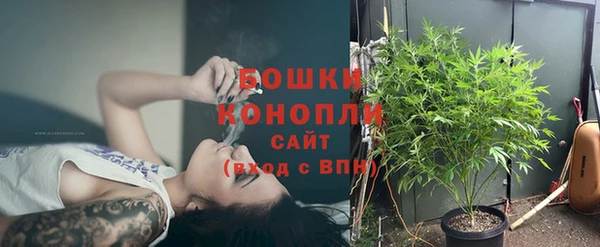 индика Беломорск