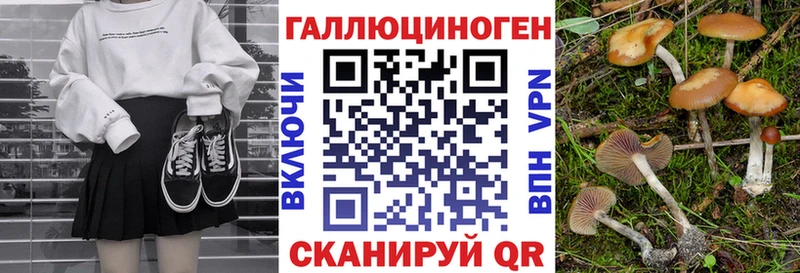 Псилоцибиновые грибы мицелий  Татарск 